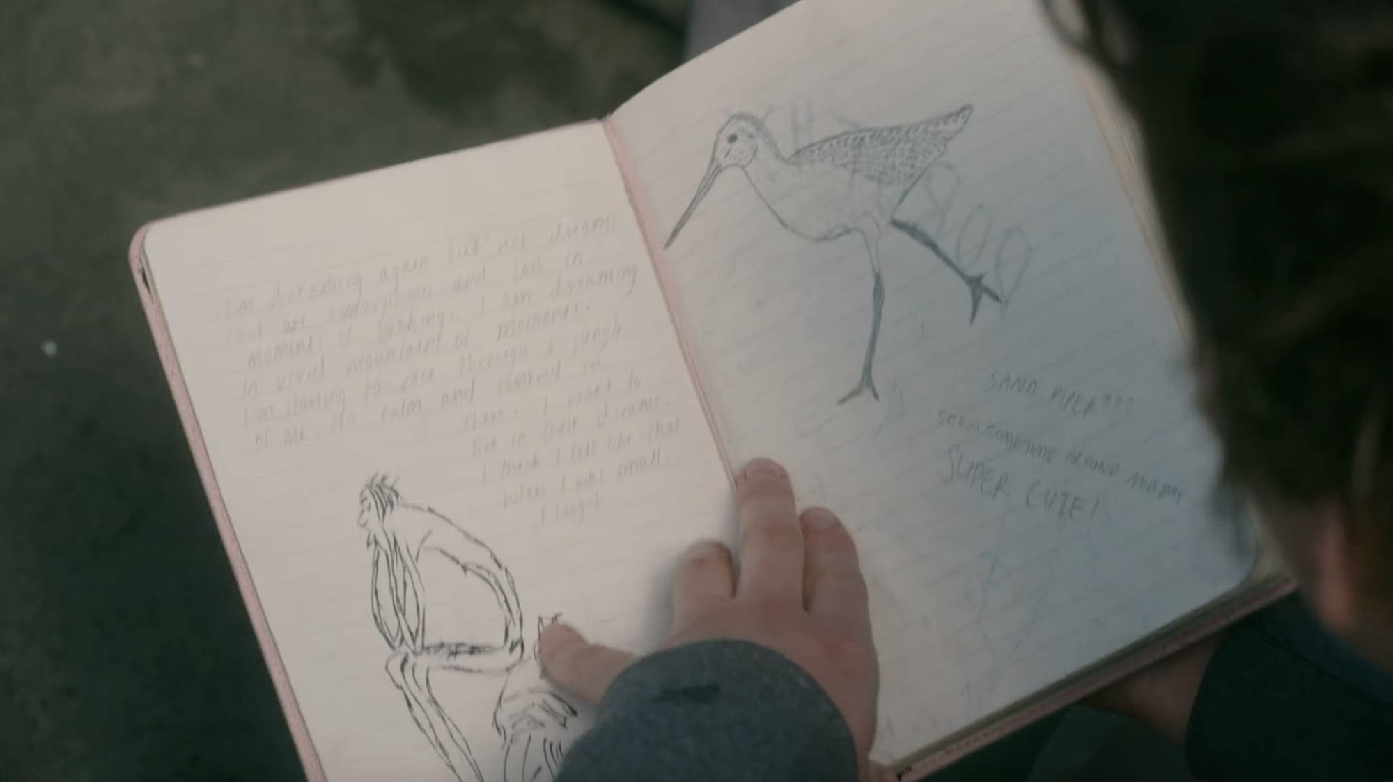 The Wilds S1E06 Nora's Journal Bird Sketch